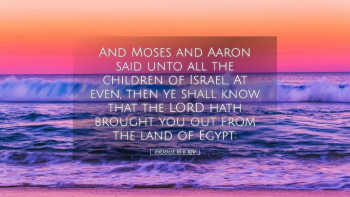 Picture 05 - Exodus 16:6 KJV Desktop Wallpaper - And Moses and Aaron said unto all the children of - Desktop Bible Verse Wallpaper