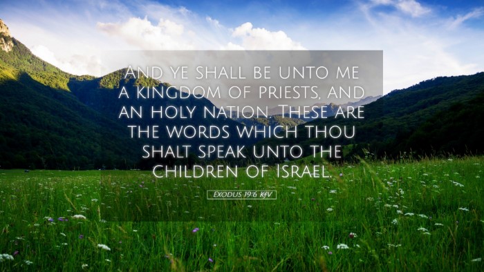 Picture 05 - Exodus 19:6 KJV Desktop Wallpaper - And ye shall be unto me a kingdom of priests, and - Desktop Bible Verse Wallpaper