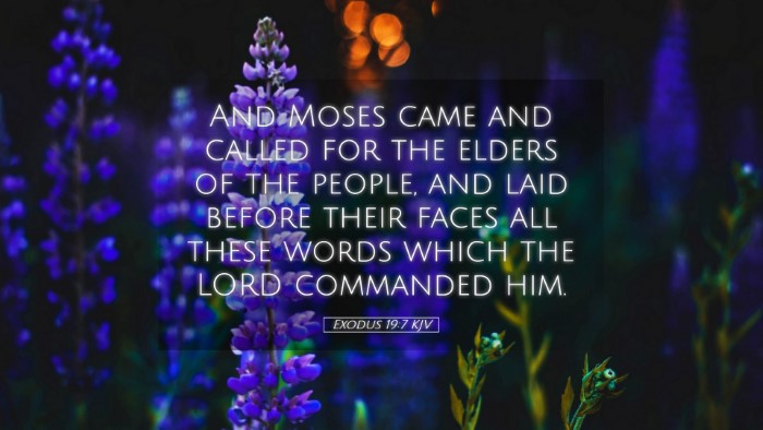Picture 05 - Exodus 19:7 KJV Desktop Wallpaper - And Moses came and called for the elders of the - Desktop Bible Verse Wallpaper