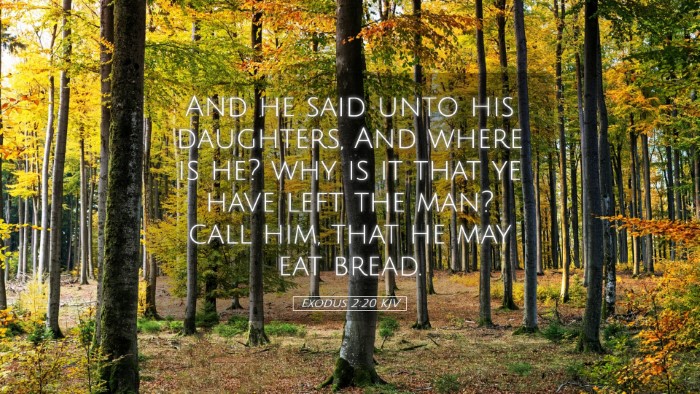 Picture 05 - Exodus 2:20 KJV Desktop Wallpaper - And he said unto his daughters, And where is he? - Desktop Bible Verse Wallpaper
