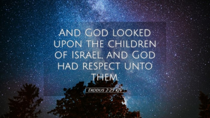 Picture 05 - Exodus 2:25 KJV Desktop Wallpaper - And God looked upon the children of Israel, and - Desktop Bible Verse Wallpaper