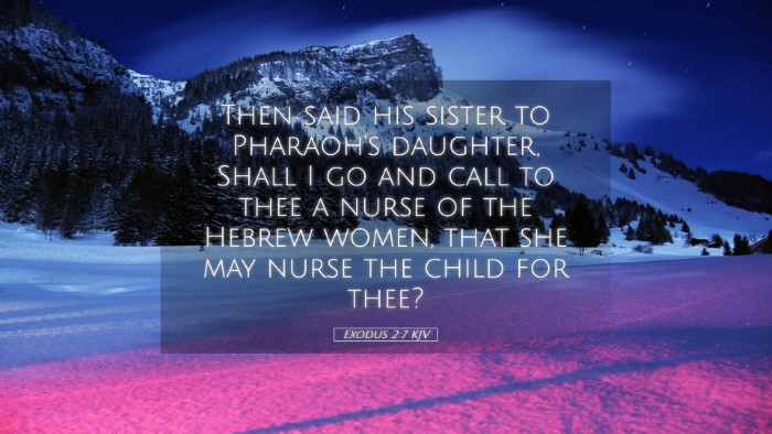 Picture 05 - Exodus 2:7 KJV Desktop Wallpaper - Then said his sister to Pharaoh's daughter, Shall - Desktop Bible Verse Wallpaper
