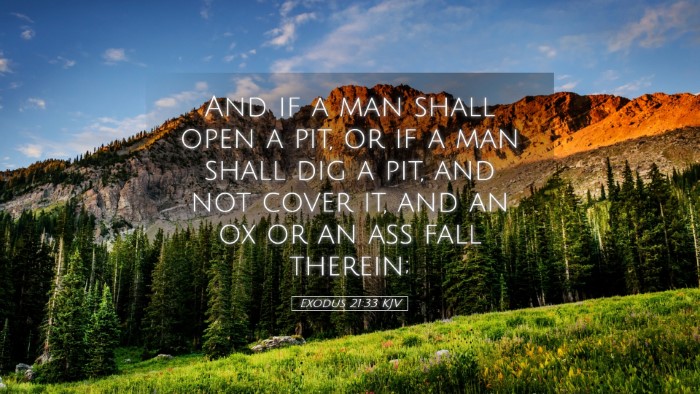 Picture 05 - Exodus 21:33 KJV Desktop Wallpaper - And if a man shall open a pit, or if a man shall - Desktop Bible Verse Wallpaper