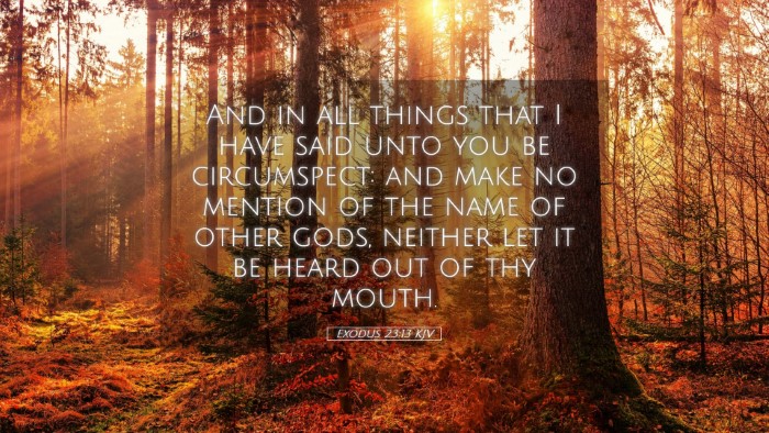 Picture 05 - Exodus 23:13 KJV Desktop Wallpaper - And in all things that I have said unto you be - Desktop Bible Verse Wallpaper