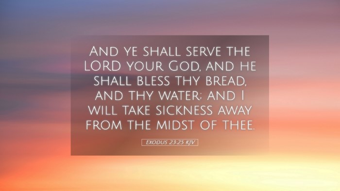 Picture 05 - Exodus 23:25 KJV Desktop Wallpaper - And ye shall serve the LORD your God, and he - Desktop Bible Verse Wallpaper