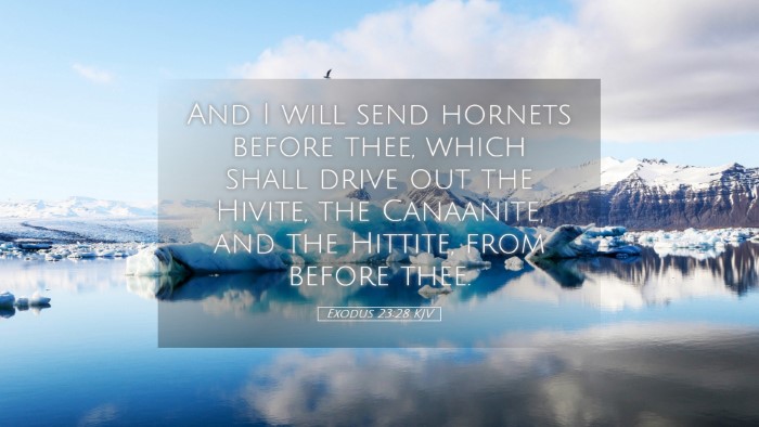 Picture 05 - Exodus 23:28 KJV Desktop Wallpaper - And I will send hornets before thee, which shall - Desktop Bible Verse Wallpaper