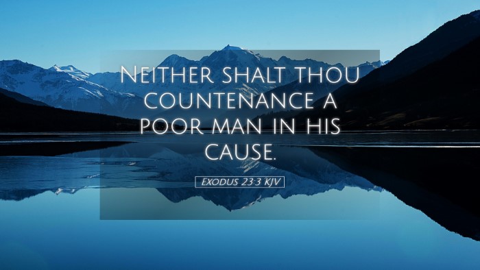 Picture 05 - Exodus 23:3 KJV Desktop Wallpaper - Neither shalt thou countenance a poor man in his - Desktop Bible Verse Wallpaper