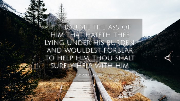 Picture 05 - Exodus 23:5 KJV Desktop Wallpaper - If thou see the ass of him that hateth thee lying - Desktop Bible Verse Wallpaper