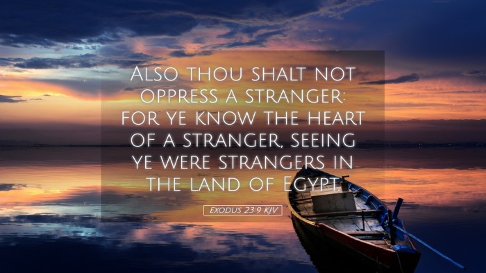 Picture 05 - Exodus 23:9 KJV Desktop Wallpaper - Also thou shalt not oppress a stranger: for ye - Desktop Bible Verse Wallpaper