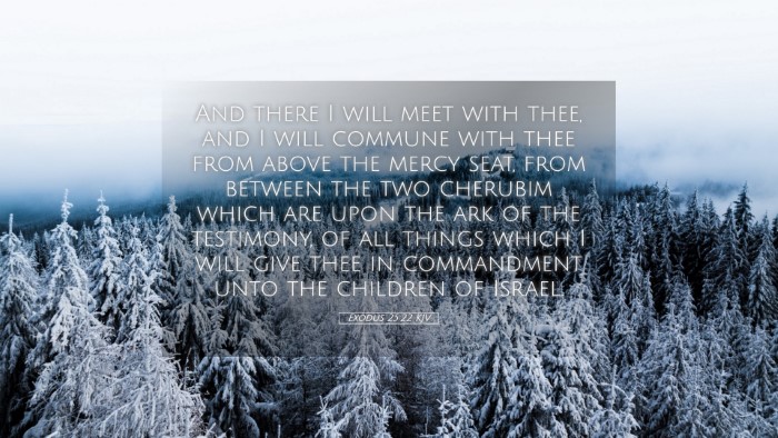 Picture 05 - Exodus 25:22 KJV Desktop Wallpaper - And there I will meet with thee, and I will - Desktop Bible Verse Wallpaper
