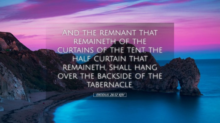 Picture 05 - Exodus 26:12 KJV Desktop Wallpaper - And the remnant that remaineth of the curtains of - Desktop Bible Verse Wallpaper