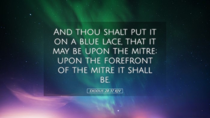Picture 05 - Exodus 28:37 KJV Desktop Wallpaper - And thou shalt put it on a blue lace, that it may - Desktop Bible Verse Wallpaper