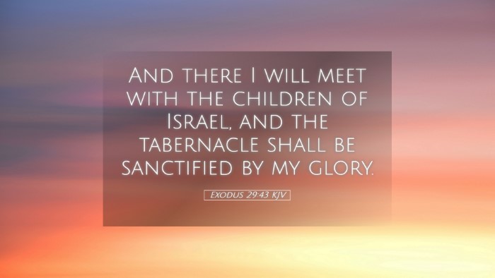 Picture 05 - Exodus 29:43 KJV Desktop Wallpaper - And there I will meet with the children of - Desktop Bible Verse Wallpaper