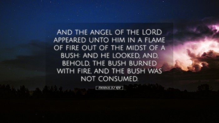 Picture 05 - Exodus 3:2 KJV Desktop Wallpaper - And the angel of the LORD appeared unto him in a - Desktop Bible Verse Wallpaper