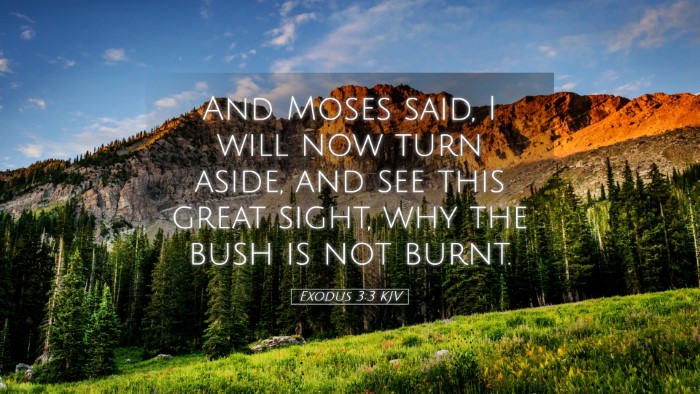 Picture 05 - Exodus 3:3 KJV Desktop Wallpaper - And Moses said, I will now turn aside, and see - Desktop Bible Verse Wallpaper