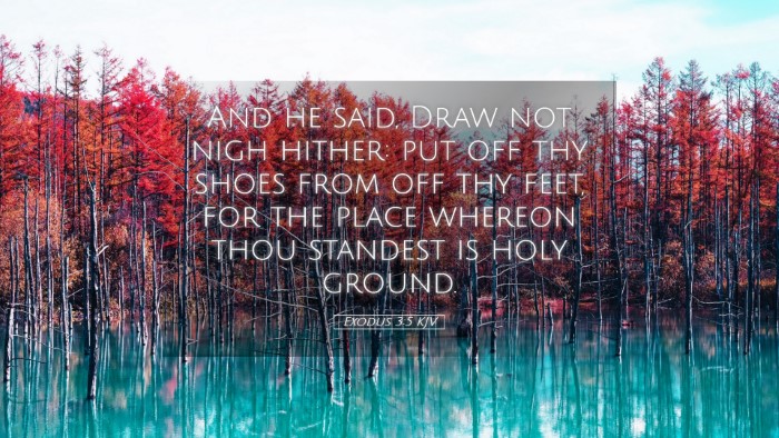 Picture 05 - Exodus 3:5 KJV Desktop Wallpaper - And he said, Draw not nigh hither: put off thy - Desktop Bible Verse Wallpaper