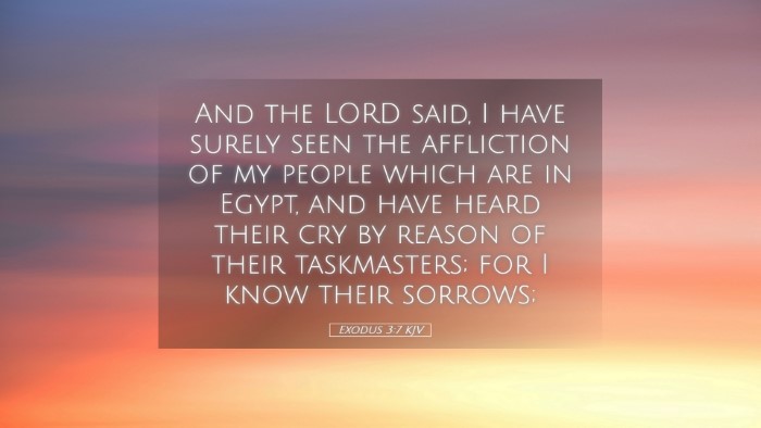 Picture 05 - Exodus 3:7 KJV Desktop Wallpaper - And the LORD said, I have surely seen the - Desktop Bible Verse Wallpaper