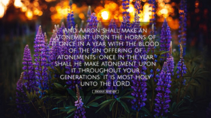 Picture 05 - Exodus 30:10 KJV Desktop Wallpaper - And Aaron shall make an atonement upon the horns - Desktop Bible Verse Wallpaper