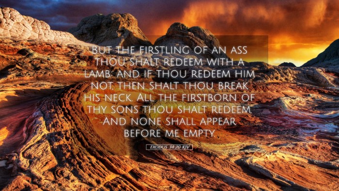 Picture 05 - Exodus 34:20 KJV Desktop Wallpaper - But the firstling of an ass thou shalt redeem - Desktop Bible Verse Wallpaper