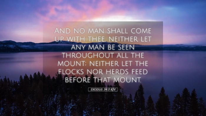 Picture 05 - Exodus 34:3 KJV Desktop Wallpaper - And no man shall come up with thee, neither let - Desktop Bible Verse Wallpaper