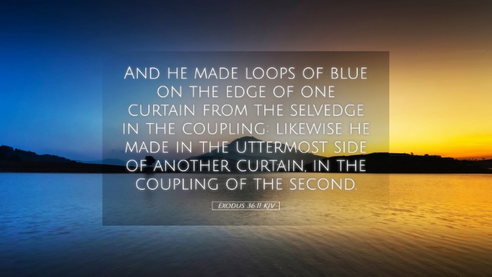 Picture 05 - Exodus 36:11 KJV Desktop Wallpaper - And he made loops of blue on the edge of one - Desktop Bible Verse Wallpaper