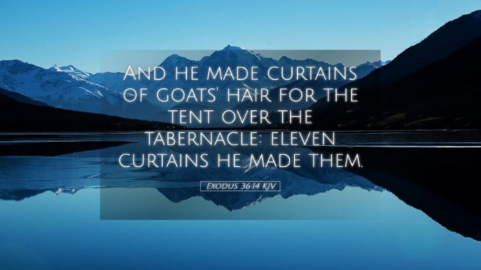 Picture 05 - Exodus 36:14 KJV Desktop Wallpaper - And he made curtains of goats' hair for the tent - Desktop Bible Verse Wallpaper