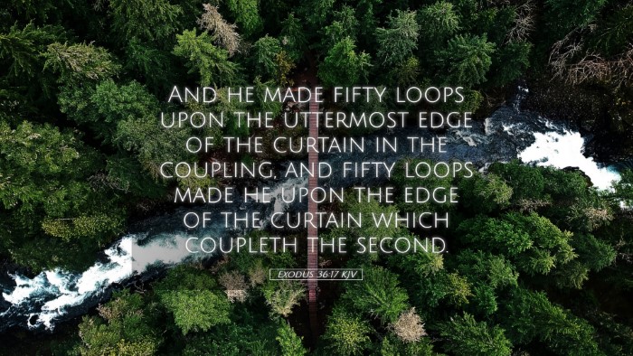 Picture 05 - Exodus 36:17 KJV Desktop Wallpaper - And he made fifty loops upon the uttermost edge - Desktop Bible Verse Wallpaper