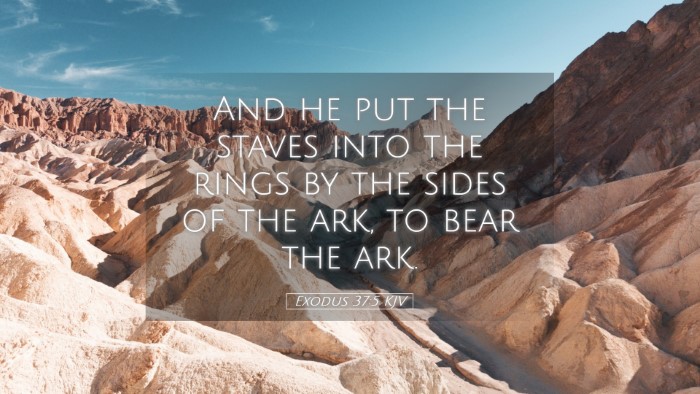 Picture 05 - Exodus 37:5 KJV Desktop Wallpaper - And he put the staves into the rings by the sides - Desktop Bible Verse Wallpaper