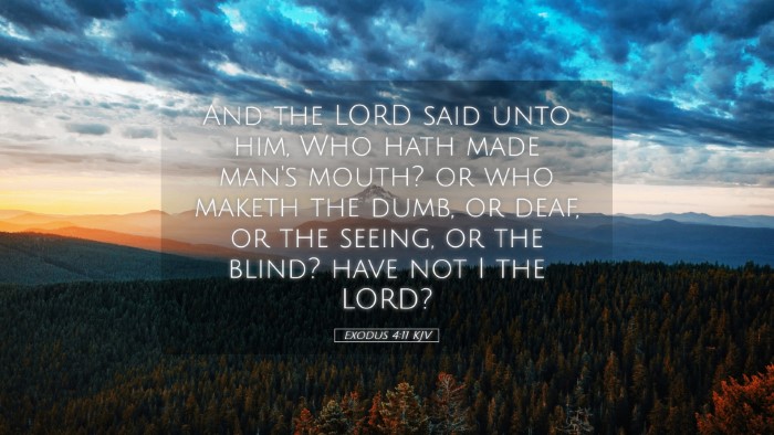 Picture 05 - Exodus 4:11 KJV Desktop Wallpaper - And the LORD said unto him, Who hath made man's - Desktop Bible Verse Wallpaper