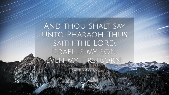 Picture 05 - Exodus 4:22 KJV Desktop Wallpaper - And thou shalt say unto Pharaoh, Thus saith the - Desktop Bible Verse Wallpaper