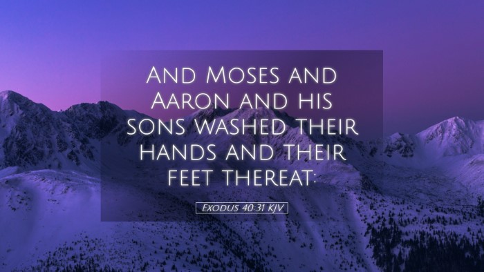 Picture 05 - Exodus 40:31 KJV Desktop Wallpaper - And Moses and Aaron and his sons washed their - Desktop Bible Verse Wallpaper