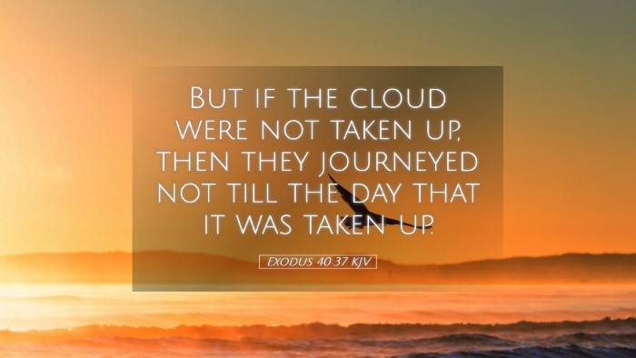 Picture 05 - Exodus 40:37 KJV Desktop Wallpaper - But if the cloud were not taken up, then they - Desktop Bible Verse Wallpaper