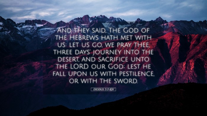 Picture 05 - Exodus 5:3 KJV Desktop Wallpaper - And they said, The God of the Hebrews hath met - Desktop Bible Verse Wallpaper