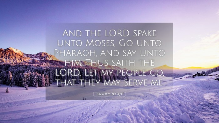 Picture 05 - Exodus 8:1 KJV Desktop Wallpaper - And the LORD spake unto Moses, Go unto Pharaoh, - Desktop Bible Verse Wallpaper