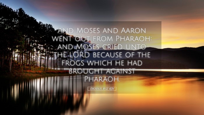 Picture 05 - Exodus 8:12 KJV Desktop Wallpaper - And Moses and Aaron went out from Pharaoh: and - Desktop Bible Verse Wallpaper