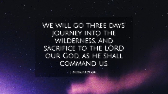 Picture 05 - Exodus 8:27 KJV Desktop Wallpaper - We will go three days' journey into the - Desktop Bible Verse Wallpaper