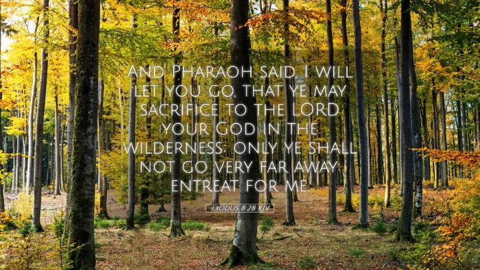 Picture 05 - Exodus 8:28 KJV Desktop Wallpaper - And Pharaoh said, I will let you go, that ye may - Desktop Bible Verse Wallpaper