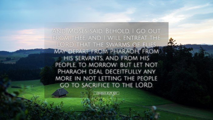 Picture 05 - Exodus 8:29 KJV Desktop Wallpaper - And Moses said, Behold, I go out from thee, and I - Desktop Bible Verse Wallpaper