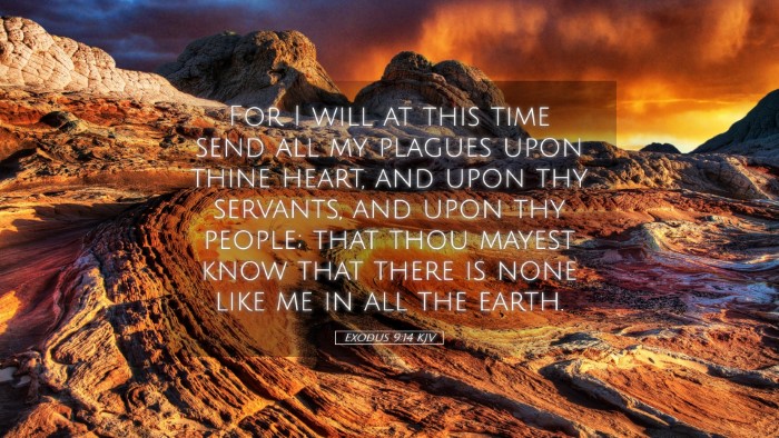 Picture 05 - Exodus 9:14 KJV Desktop Wallpaper - For I will at this time send all my plagues upon - Desktop Bible Verse Wallpaper