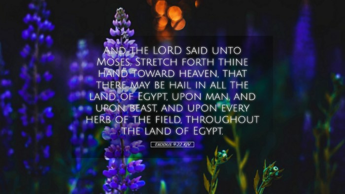 Picture 05 - Exodus 9:22 KJV Desktop Wallpaper - And the LORD said unto Moses, Stretch forth thine - Desktop Bible Verse Wallpaper