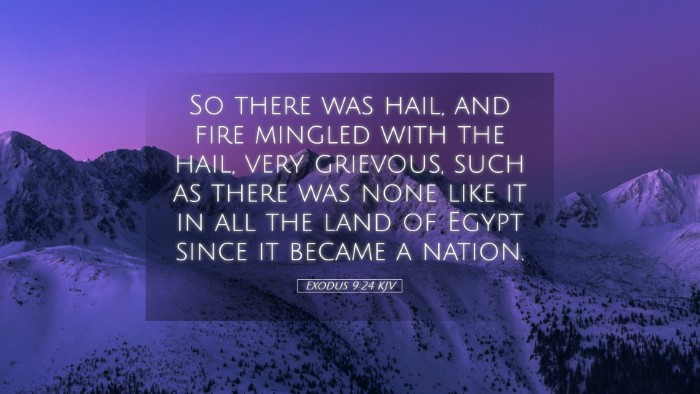 Picture 05 - Exodus 9:24 KJV Desktop Wallpaper - So there was hail, and fire mingled with the - Desktop Bible Verse Wallpaper