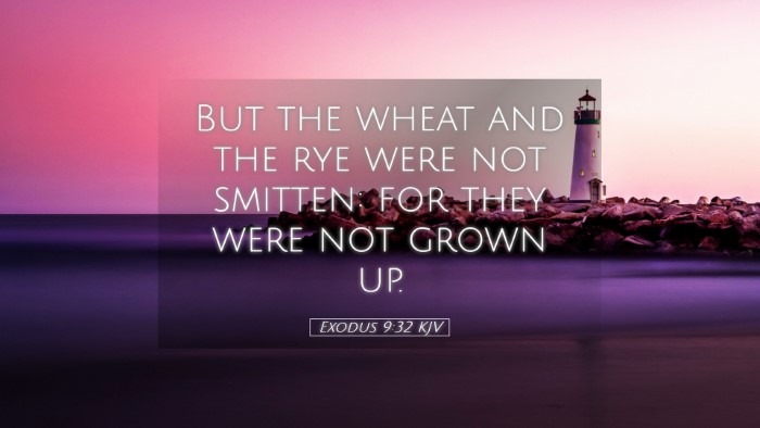 Picture 05 - Exodus 9:32 KJV Desktop Wallpaper - But the wheat and the rye were not smitten: for - Desktop Bible Verse Wallpaper