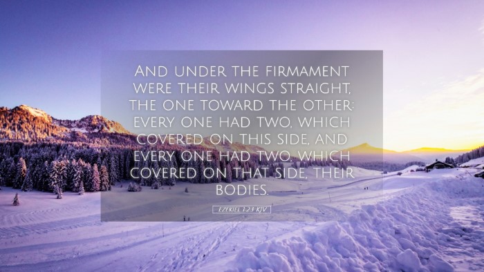 Picture 05 - Ezekiel 1:23 KJV Desktop Wallpaper - And under the firmament were their wings - Desktop Bible Verse Wallpaper