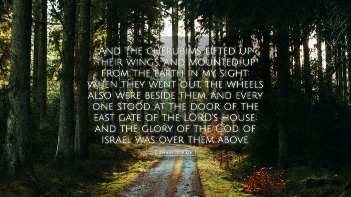 Picture 05 - Ezekiel 10:19 KJV Desktop Wallpaper - And the cherubims lifted up their wings, and - Desktop Bible Verse Wallpaper