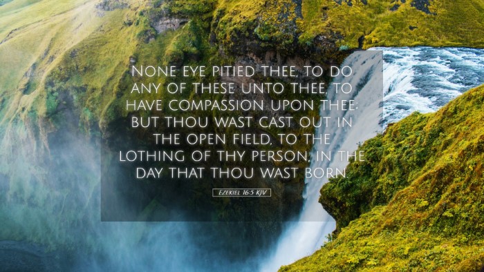 Picture 05 - Ezekiel 16:5 KJV Desktop Wallpaper - None eye pitied thee, to do any of these unto - Desktop Bible Verse Wallpaper