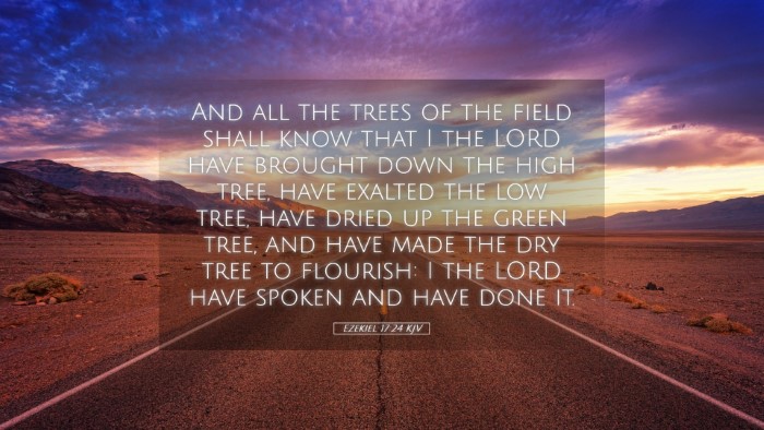 Picture 05 - Ezekiel 17:24 KJV Desktop Wallpaper - And all the trees of the field shall know that I - Desktop Bible Verse Wallpaper