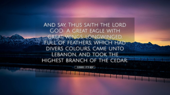 Picture 05 - Ezekiel 17:3 KJV Desktop Wallpaper - And say, Thus saith the Lord GOD; A great eagle - Desktop Bible Verse Wallpaper