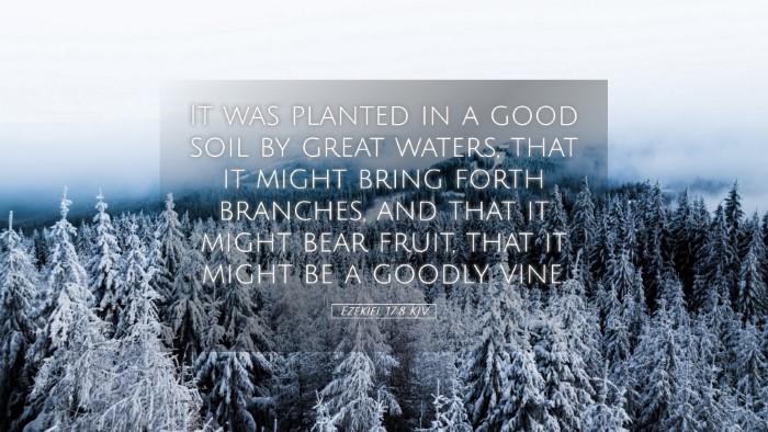 Picture 05 - Ezekiel 17:8 KJV Desktop Wallpaper - It was planted in a good soil by great waters, - Desktop Bible Verse Wallpaper