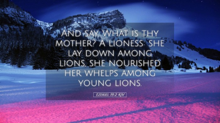 Picture 05 - Ezekiel 19:2 KJV Desktop Wallpaper - And say, What is thy mother? A lioness: she lay - Desktop Bible Verse Wallpaper