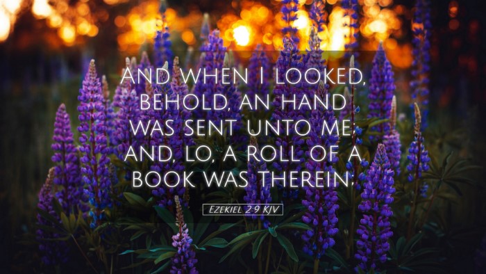 Picture 05 - Ezekiel 2:9 KJV Desktop Wallpaper - And when I looked, behold, an hand was sent unto - Desktop Bible Verse Wallpaper